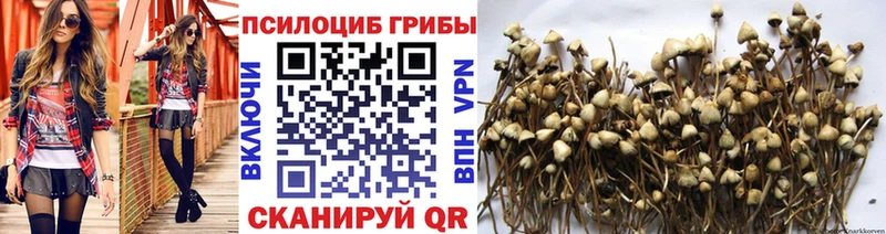 Псилоцибиновые грибы GOLDEN TEACHER  Усть-Лабинск 